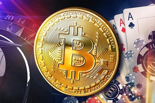 How To Choose A Reliable Crypto Casino For Beginners?